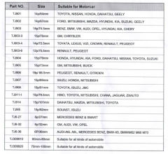 Yağ Filtre Soketi Seti 19 Parça Worldforce