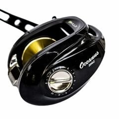 Ryuji Oceanus 300L Tairubber Baitcasting Makine