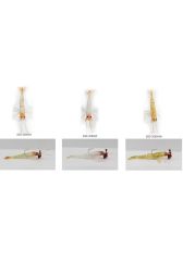 Ecotackle Melagues 79 mm 7,5 gr Silikon Karides