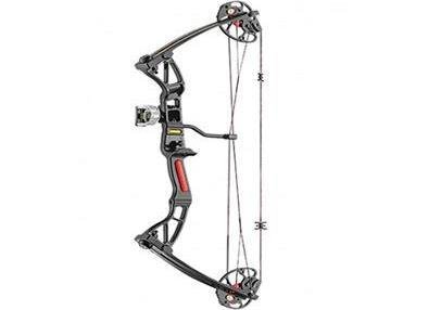 Rex Quad Dörtlü Pro Yay 15-55 LB