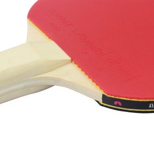 Butterfly 85003 Tımo Boll Starter ITTF Onaylı Masa Tenisi Raketi