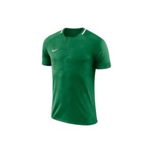 Nike 893964 M Nk Dry Chalng Iı Jsy Ss Erkek Tshirt