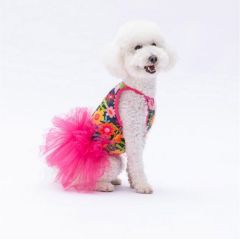 PAWSTAR FLOWERS FUŞYA TÜTÜLÜ ELBİSE XL