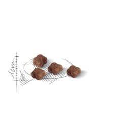 Royal Canin Mother & Babycat Yavru Kedi Maması 4 Kg