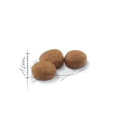 Royal Canin Sterilised 37 Kısırlaştırılmış Yetişkin Kuru Kedi Maması 15 Kg