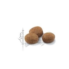 Royal Canin Sterilised +7 Kısırlaştırılmış Yaşlı Kedi Mamasi 1,5 Kg