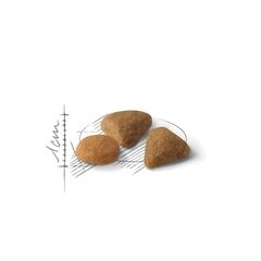 Royal Canin Exigent Kedi Maması  2 Kg