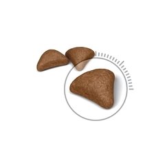 Royal Canin Hairball Kedi Maması 2kg