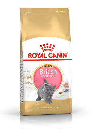 Royal Canin British Shorthair Kitten 2 Kg