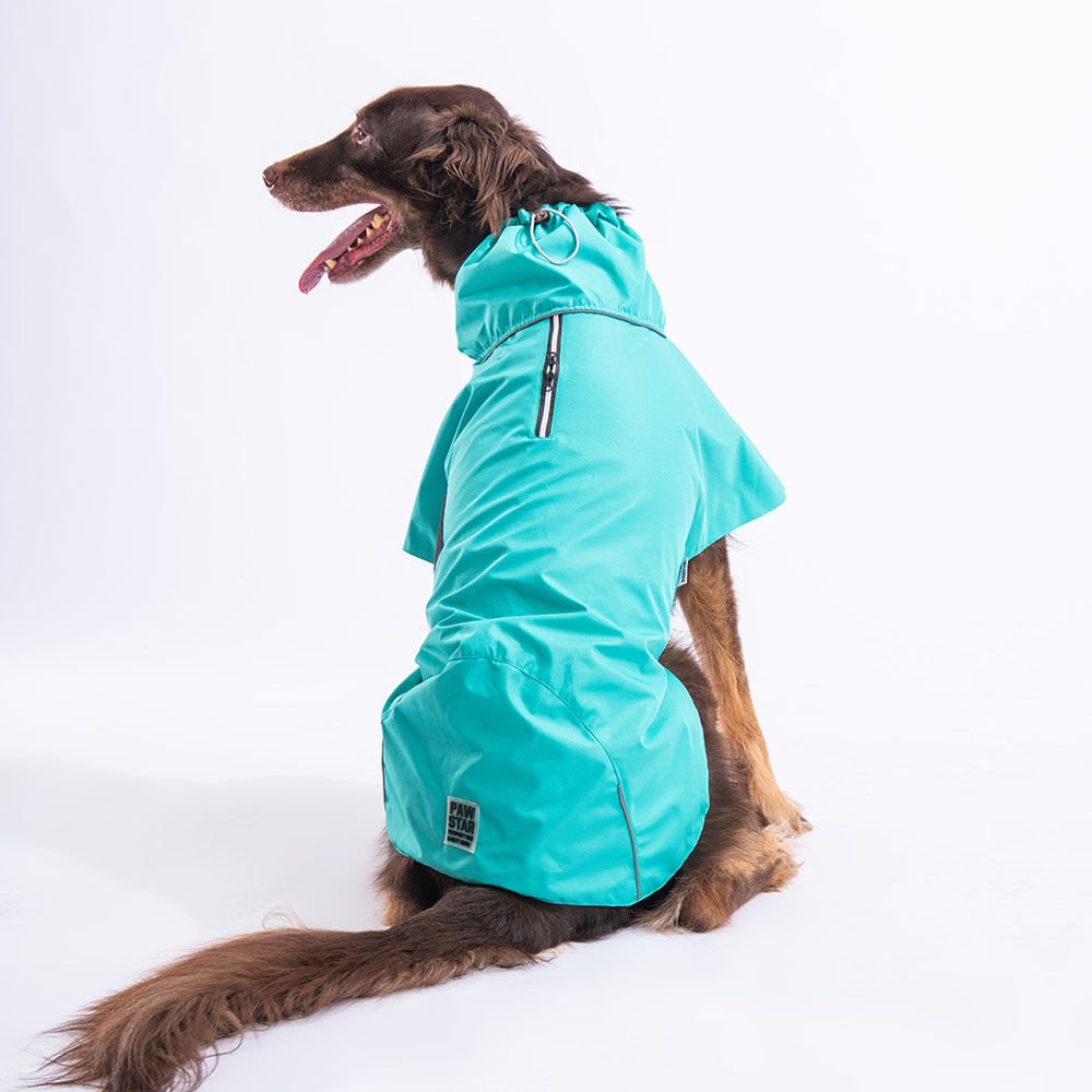 Pawstar Mint Colombia Büyük Irk Köpek Yağmurluğu M 23528