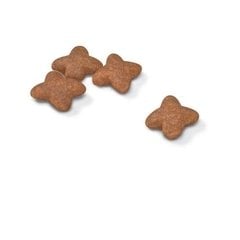Royal Canin Mini Adult Küçük Irk Köpek Maması 2 Kg