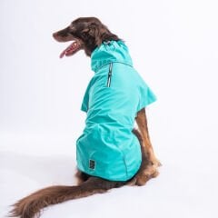 Pawstar Mint Colombia Büyük Irk Köpek Yağmurluğu XS 23528