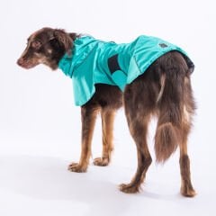Pawstar Mint Colombia Büyük Irk Köpek Yağmurluğu XS 23528
