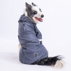 Pawstar Gri Colombia Büyük Irk Köpek Yağmurluğu M 23533