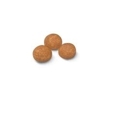 Royal Canin X-Small Adult Küçük Irk Yetişkin Köpek Maması 1,5 kg