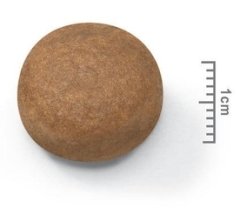 Royal Canin Maxi Adult Büyük Irk Yetişkin Köpek Maması15 Kg