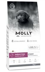 MOLLY KP PUPPY MEDIUM KUZU 15 KG