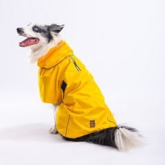 Pawstar Sarı Colombia Büyük Irk Köpek Yağmurluğu S 23532