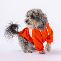 Pawstar Cute Hoodie Turuncu Kapşonlu Köpek Sweati M 23708