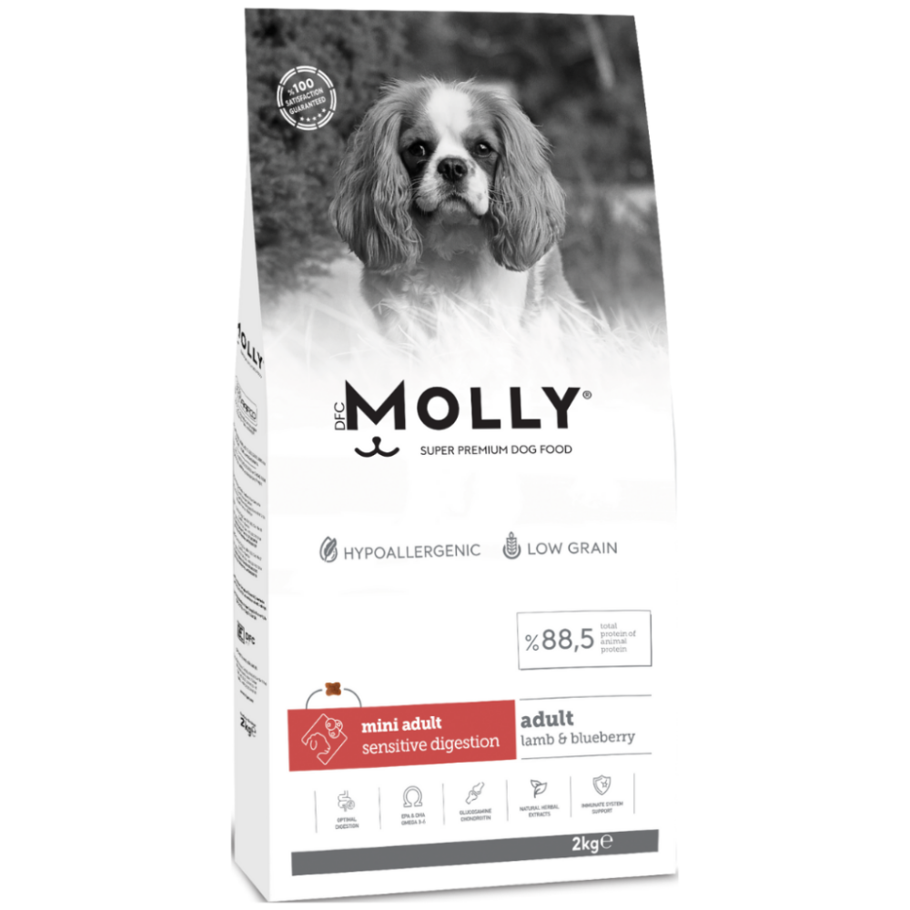 Molly Mini Adult Kuzu Etli Yaban Mersinli Küçük Irk Yetişkin Köpek Maması 2 Kg