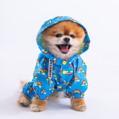 Pawstar İrides Tulum Köpek Yağmurluğu XL 23513