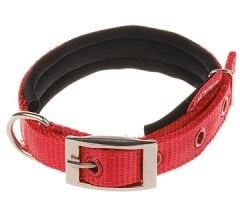 Doca Köpek Boyun Tasması Kırımızı 32-44 cm