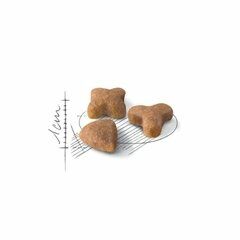 Royal Canin Sensible Kedi Mamasi 4 Kg