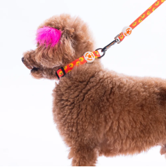 Pawstar Köpek Boyun Tasması Poodle S  beden 1,5*26-38 CM