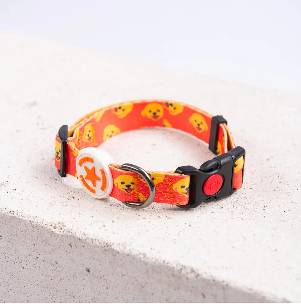 Pawstar Köpek Boyun Tasması Poodle S  beden 1,5*26-38 CM