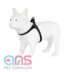Ans Köpek Gögüs Tasma Neoplan Xl 50-70cm Al-042