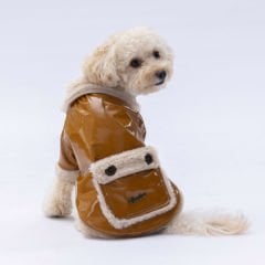 Pawstar Camel Vegas Ceket L 24204