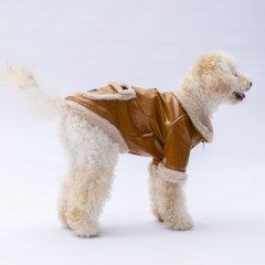 Pawstar Camel Vegas Ceket L 24204