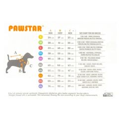 Pawstar Camel Vegas Ceket XL 24204