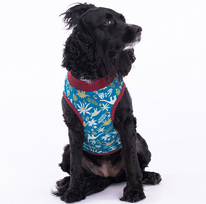 Pawstar Dino Tshirt L 23823