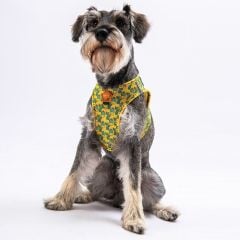 Pawstar Köpek Göğüs Tasması Kaktüs Desenli S