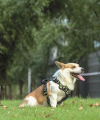 M-PETS HIKING KÖPEK GÖĞÜS TASMASI KAMUFLAF M 10829199