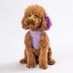 Pawstar Köpek Göğüs Tasması Ice Cream Desenli 2XS