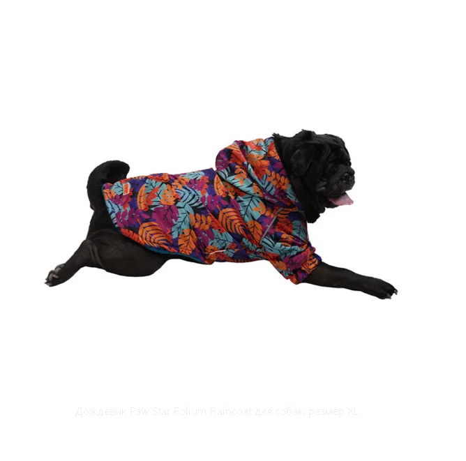 Pawstar Köpek Yağmurluğu Folium 22564 - XL