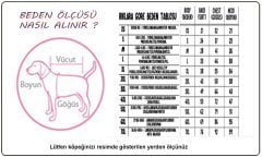 Pawstar Köpek Montu Pembe Yelek Moncler 22113 - M