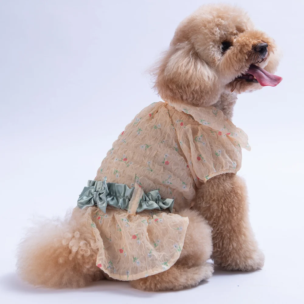 Pawstar Sarı Valencia Elbise S 25301