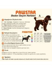 Pawstar Seattle Yeşil Sweat L 25718