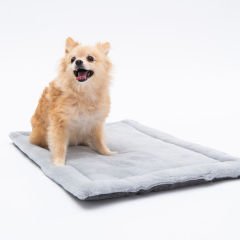 Pawstar Antrasit Köpek Mat ve Battaniye S
