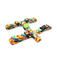 Tailpetz Göğüs Tasması Gökkuşağı Desen Large