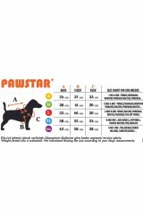 Pawstar Red Dijon Kırmızı Kamuflaj Köpek Yağmurluğu M