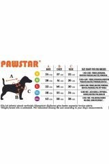 Pawstar Red Dijon Kırmızı Kamuflaj Köpek Yağmurluğu XL
