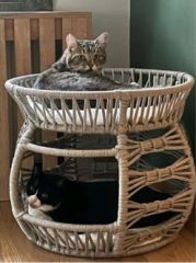 Lüxperi İki Katlı Bombeli Kedi Köpek Yatağı