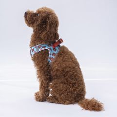 Pawstar Köpek Göğüs Tasması Bears Desenli XS