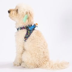 Pawstar Köpek Göğüs Tasması Dino Desenli S