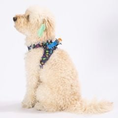 Pawstar Köpek Göğüs Tasması Dino Desenli 2XS