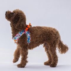 Pawstar Köpek Göğüs Tasması Puzzle Desenli S